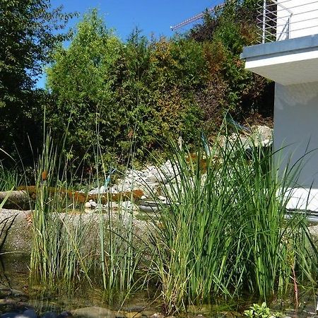 Apartament N1 Standalone House Baden Hertenstein Zewnętrze zdjęcie