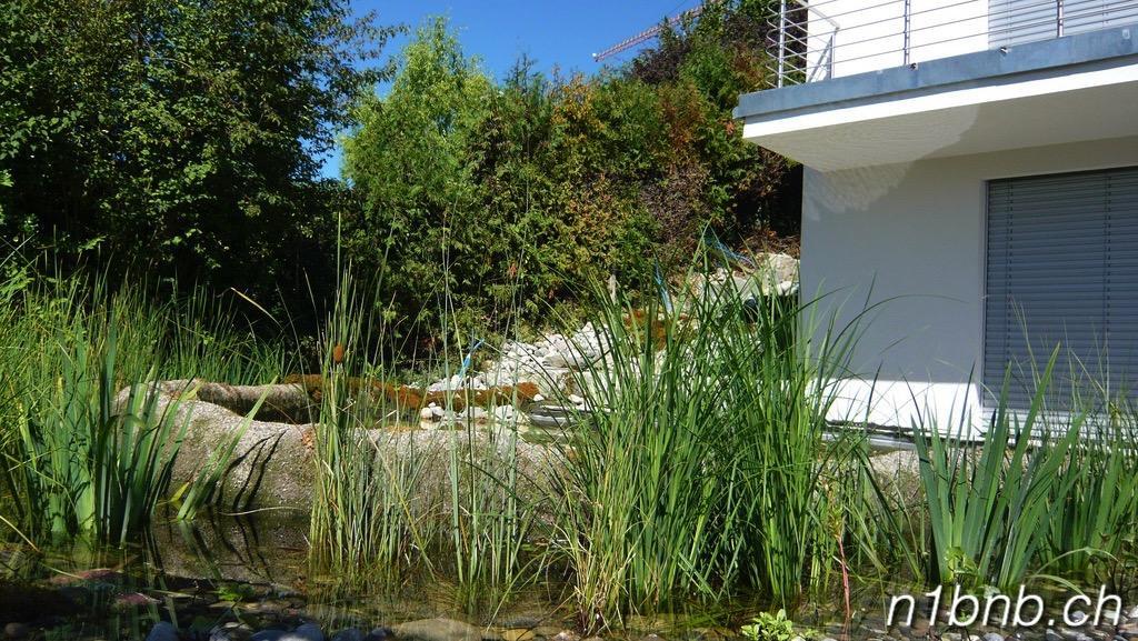 Apartament N1 Standalone House Baden Hertenstein Zewnętrze zdjęcie